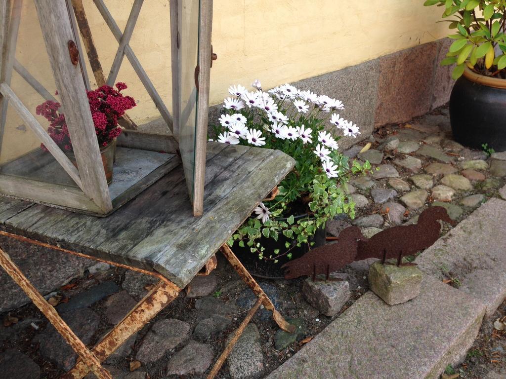 Birkende Bed And Breakfast Langeskov Екстериор снимка