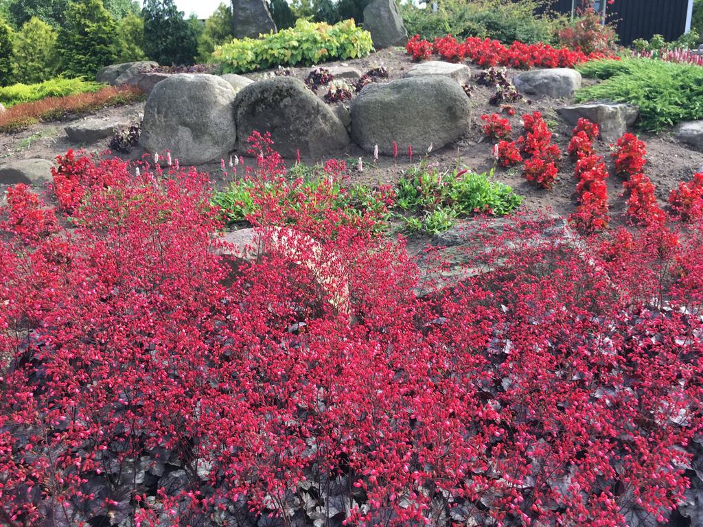 Birkende Bed And Breakfast Langeskov Екстериор снимка